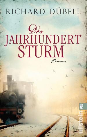 Cover of the book Der Jahrhundertsturm by Ruth Hogan