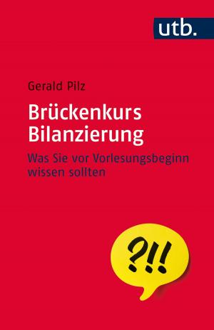 Cover of the book Brückenkurs Bilanzierung by Klaus Fröhlich-Gildhoff, Maike Rönnau-Böse