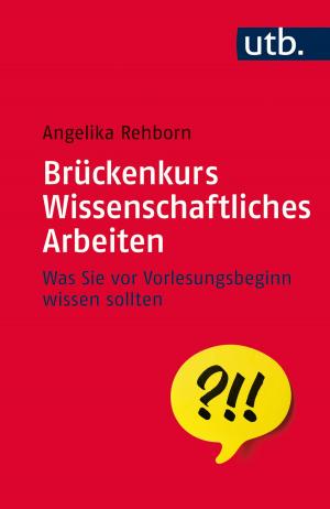 Cover of the book Brückenkurs Wissenschaftliches Arbeiten by Werner Schmidt