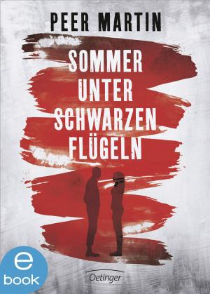 Book cover of Sommer unter schwarzen Flügeln