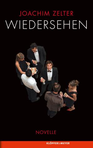 Cover of the book Wiedersehen by Michael Lichtwarck-Aschoff