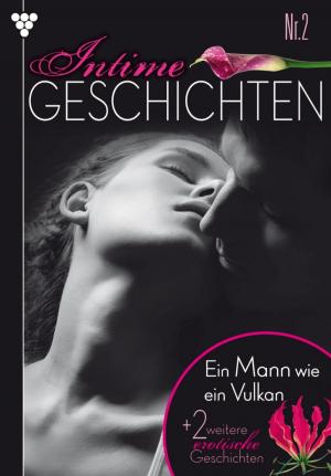 Cover of the book Intime Geschichten 2 – Erotikroman by Gisela Reutling