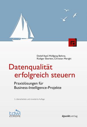 Cover of the book Datenqualität erfolgreich steuern by Eberhard Wolff