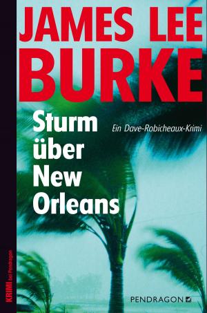 Book cover of Sturm über New Orleans