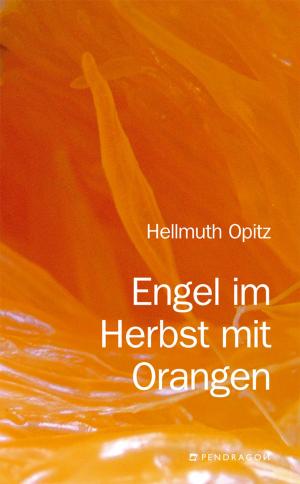 Book cover of Engel im Herbst mit Orangen