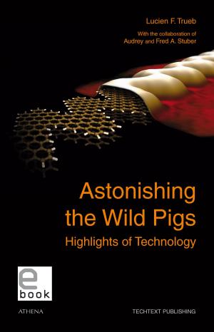 Cover of Astonishing the Wild Pigs