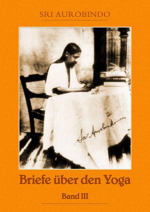 Cover of the book Briefe über den Yoga Bd. 3 by Wolfgang Schreyer