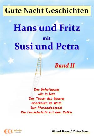 Cover of Gute-Nacht-Geschichten: Hans und Fritz mit Susi und Petra - Band II