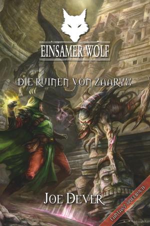 Cover of the book Einsamer Wolf 09 - Die Ruinen von Zaaryx by Barbara Jaques