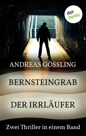 Book cover of Bernsteingrab & Der Irrläufer