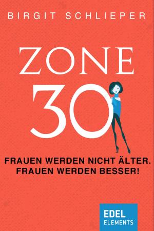 Cover of the book Zone 30 by Gabriele Ketterl