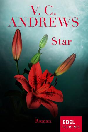 Cover of the book Star by Susan Andersen
