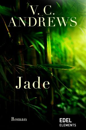 Cover of the book Jade by Anne Chaplet