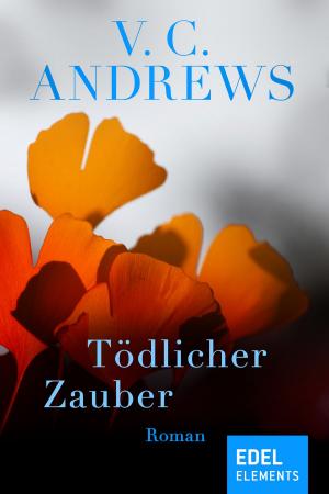 Cover of the book Tödlicher Zauber by Paula Bergström