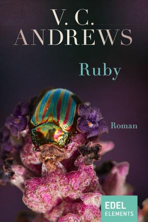 Cover of the book Ruby by Wolfram Hänel