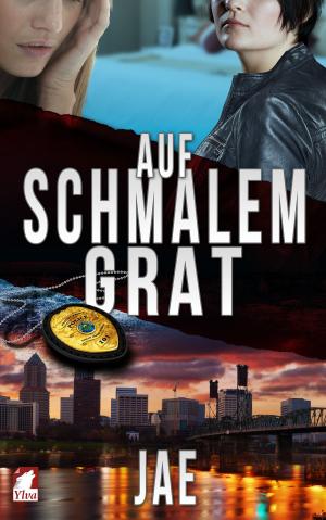 Cover of the book Auf schmalem Grat by JD Glass