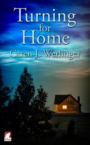 Cover of the book Turning for Home by Il Pierpo