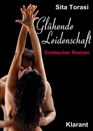 Cover of the book Glühende Leidenschaft. Erotischer Roman by MaryAnn Diorio, PhD, MFA