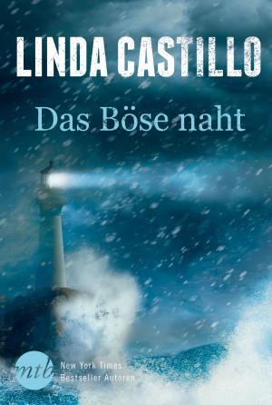 Cover of the book Das Böse naht by Victoria Janssen