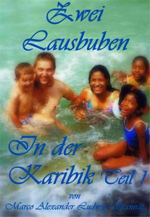 Cover of the book Zwei Lausbuben in der Karibik Teil 1 by Jesse May