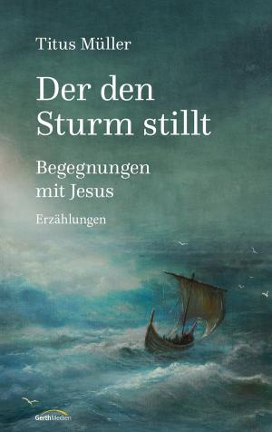 Cover of the book Der den Sturm stillt by Mandy Harvey