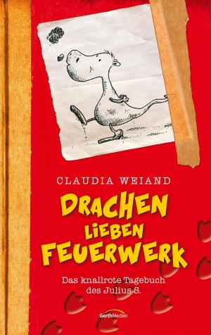 Cover of the book Drachen lieben Feuerwerk by Brennan Manning, John Blase