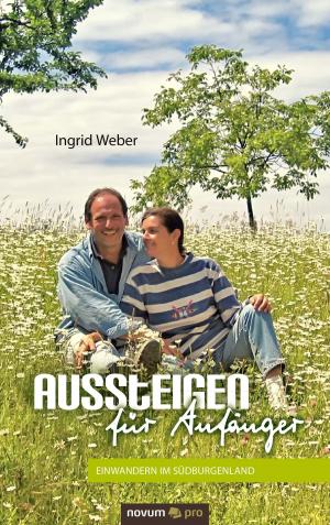 Cover of the book Aussteigen für Anfänger by Sarah Allison