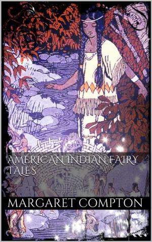 Book cover of American Indian Fairy Tales