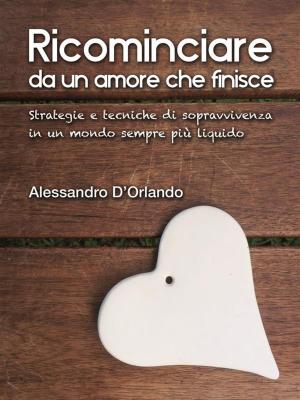 Cover of the book Ricominciare da un amore che finisce by Darryl Deyes
