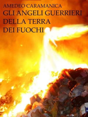 Cover of Gli Angeli Guerrieri della Terra dei Fuochi