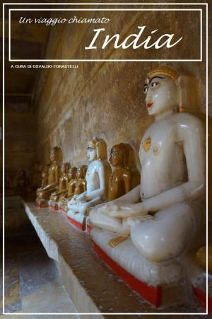 Cover of the book Un viaggio chiamato India by Jochen Kaiser