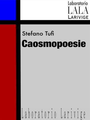 Cover of the book Caosmopoesie by H. R. D'Costa
