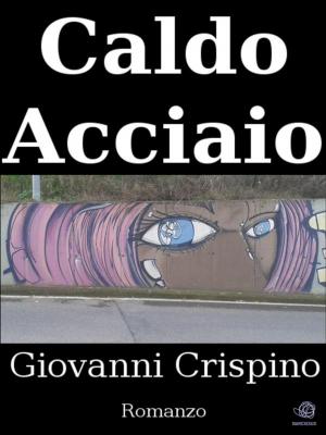 Cover of the book Caldo Acciaio by Aviva Jill Romm