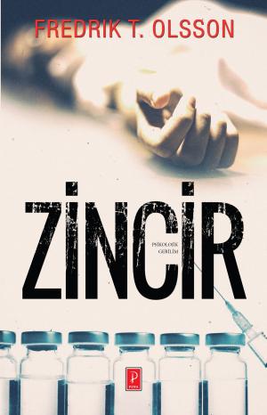 Cover of the book Zincir by Jessica Sorensen