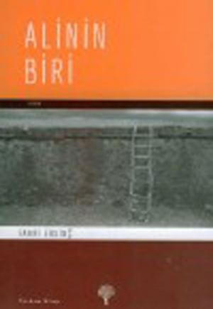 Cover of the book Alinin Biri by Yılmaz Onay