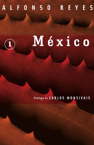 Cover of the book México by Salvador Elizondo