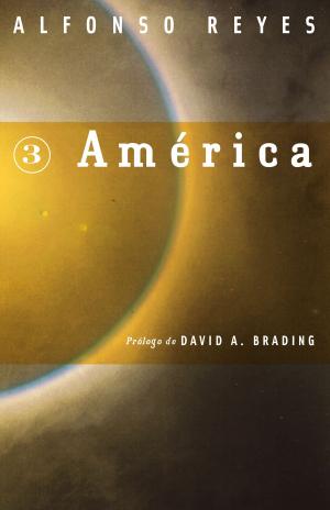 Cover of the book América by Alfonso Reyes