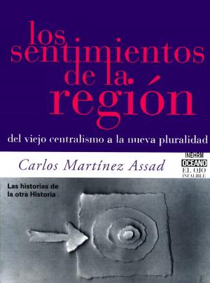 Cover of the book Los sentimientos de la región by Lorna Byrne