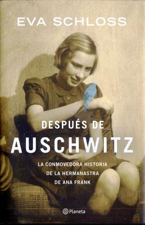 Cover of the book Después de Auschwitz by Federico Moccia