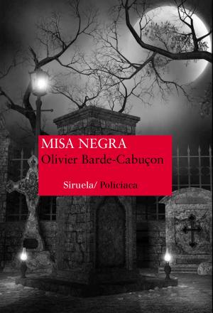 Cover of the book Misa negra by Unni Lindell