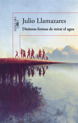 Cover of the book Distintas formas de mirar el agua by António Lobo Antunes