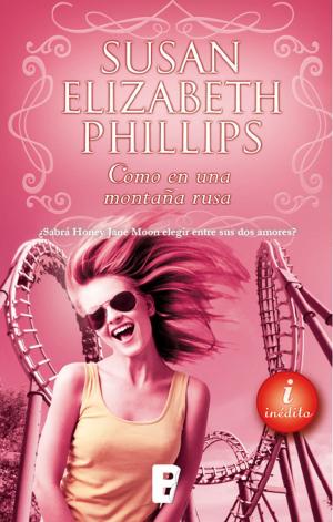 Cover of the book Como en una montaña rusa by Danielle Steel