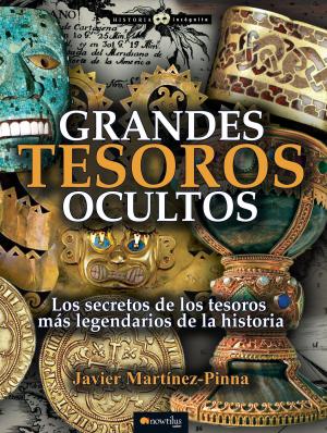 Cover of the book Grandes tesoros ocultos by Jorge Pisa Sánchez