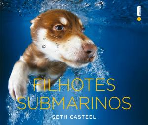 Cover of the book Filhotes Submarinos by Barney Stinson & Matt Kuhn