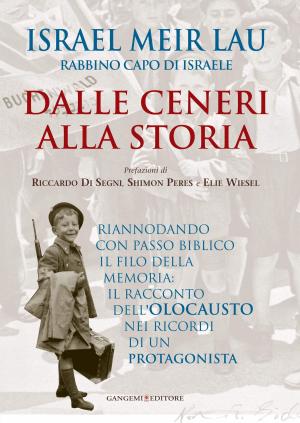 Book cover of Dalle ceneri alla storia