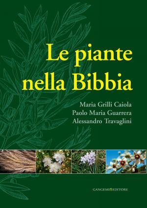 Cover of the book A colloquio con Franco Purini by AA. VV.