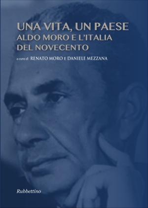 Book cover of Una vita, un Paese