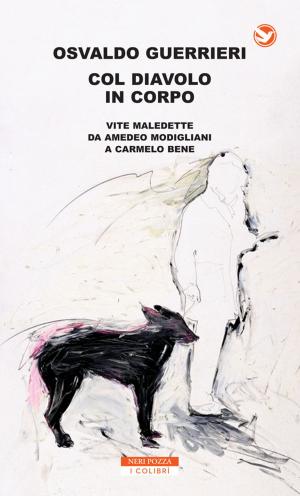 Cover of the book Col diavolo in corpo by Marion Pauw