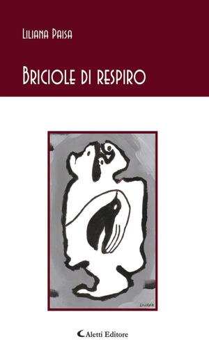 Cover of Briciole di respiro