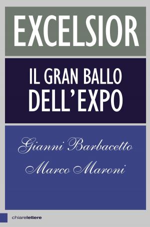 Cover of the book Excelsior by Franco Arminio